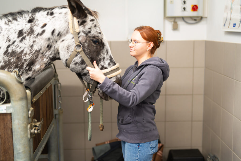 Notfall Tierklinik